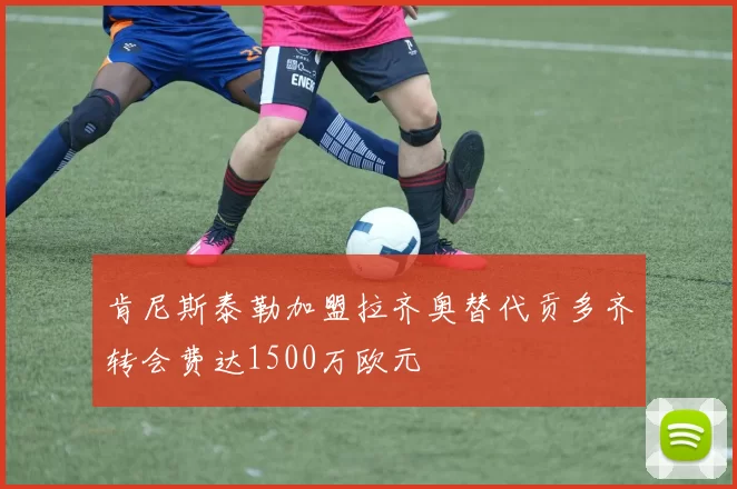 肯尼斯泰勒加盟拉齐奥替代贡多齐转会费达1500万欧元